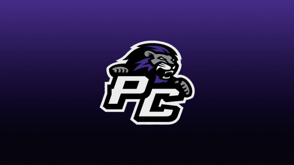 Paine Athletics
